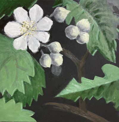 Bramble, oil on canvas by Mary Adam