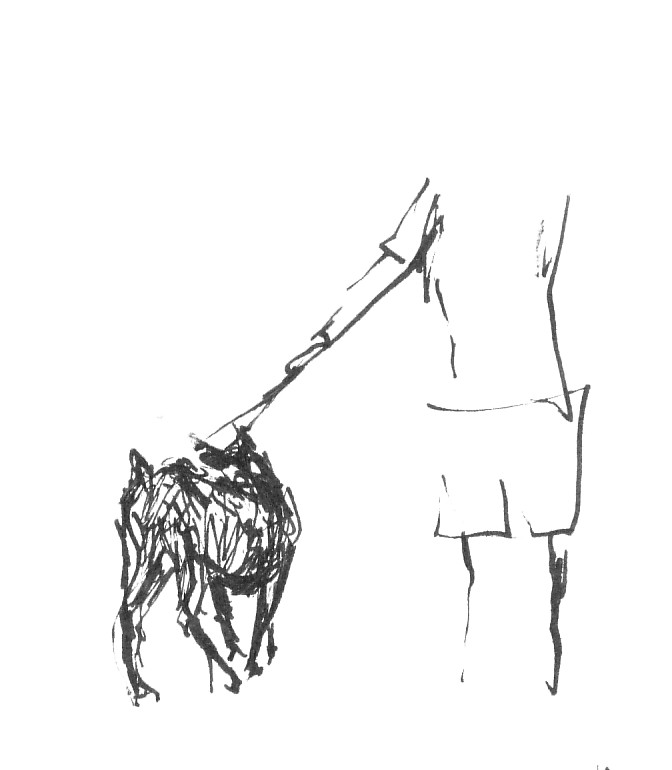 Walking the dog, drawing by Mary Adam
