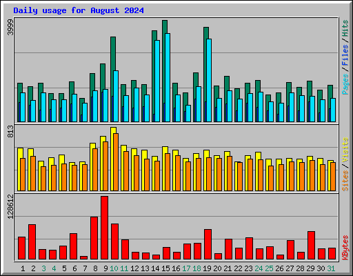 Daily usage for August 2024