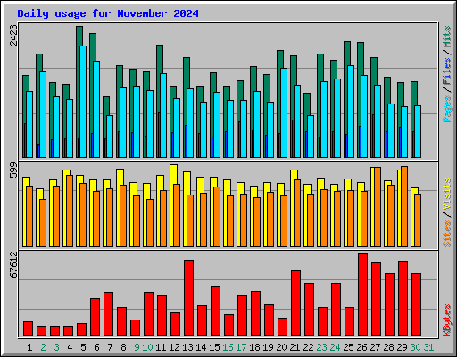Daily usage for November 2024