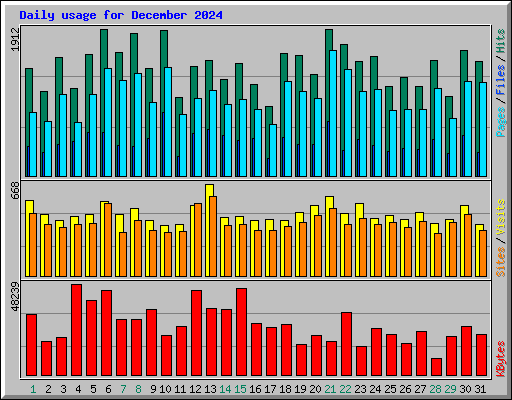 Daily usage for December 2024