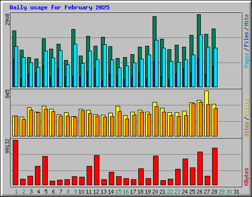 Daily usage for February 2025